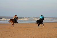 Pferde und Strand Mallorca